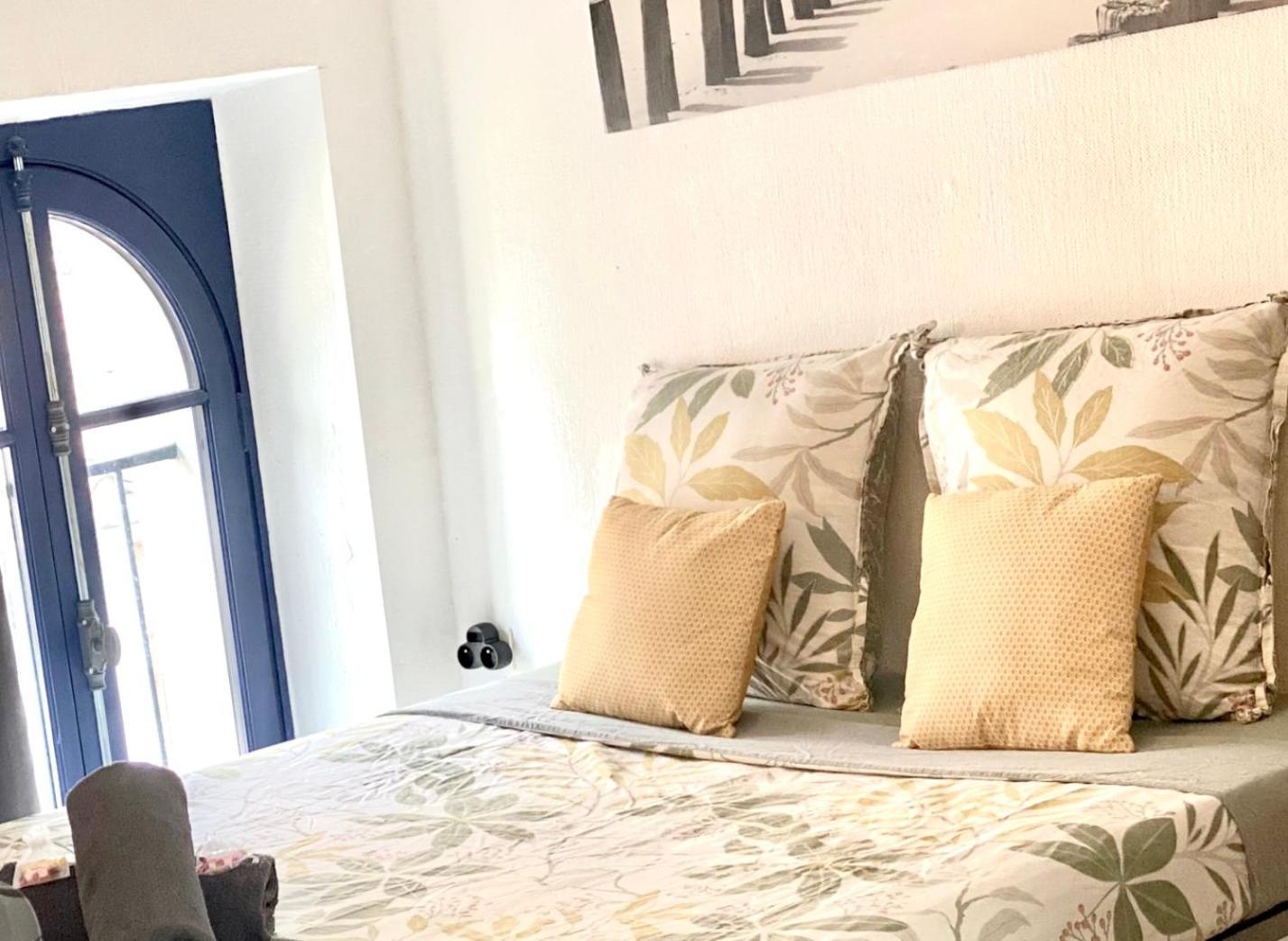 Studio Des Cathares Apartment Carcassonne Ngoại thất bức ảnh